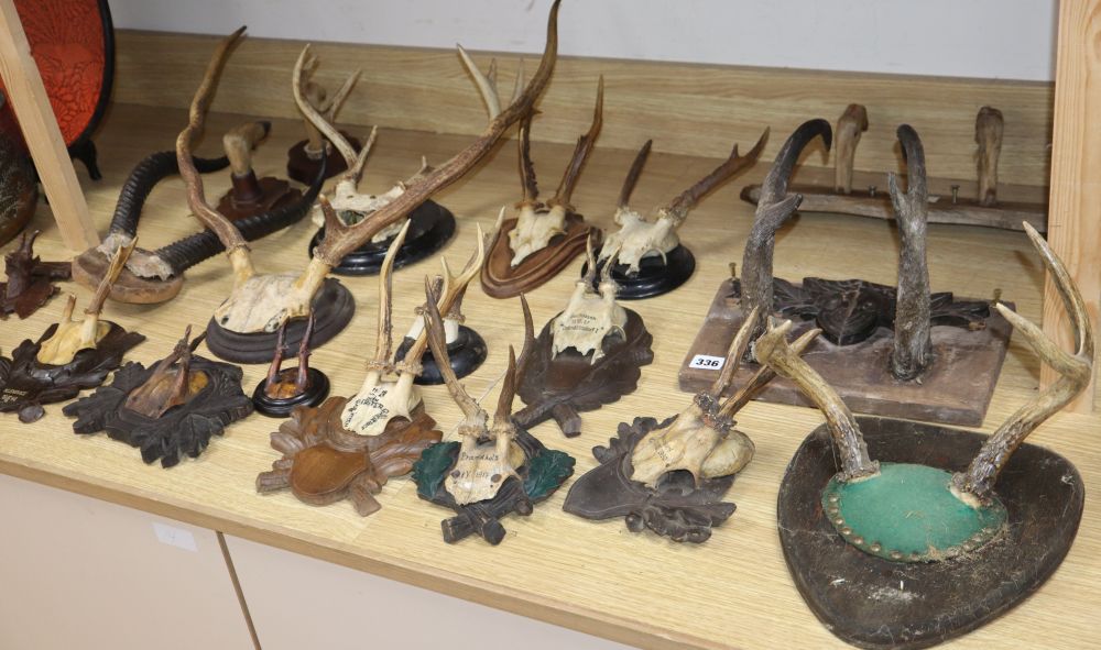 A quantity of mounted antlers, some with Black Forest shields